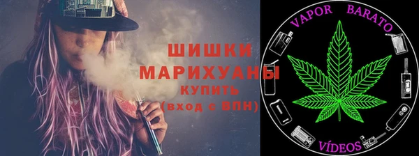сатива Корсаков