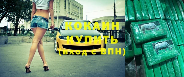 сатива Корсаков