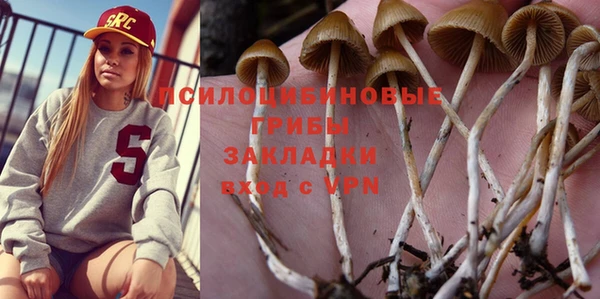 прущая мука Костерёво